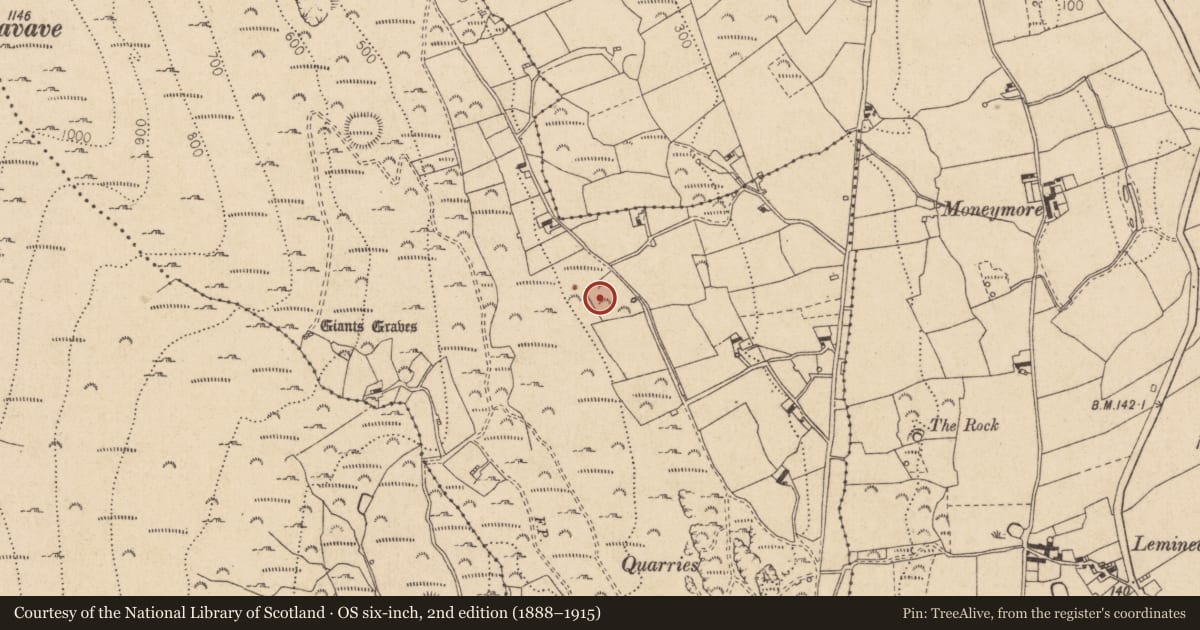 Ordnance Survey six-inch map, 2nd edition (1888–1915) covering the location of Enclosure, Commons (Carlingford Par.), County Louth, with a pin at the register's coordinates