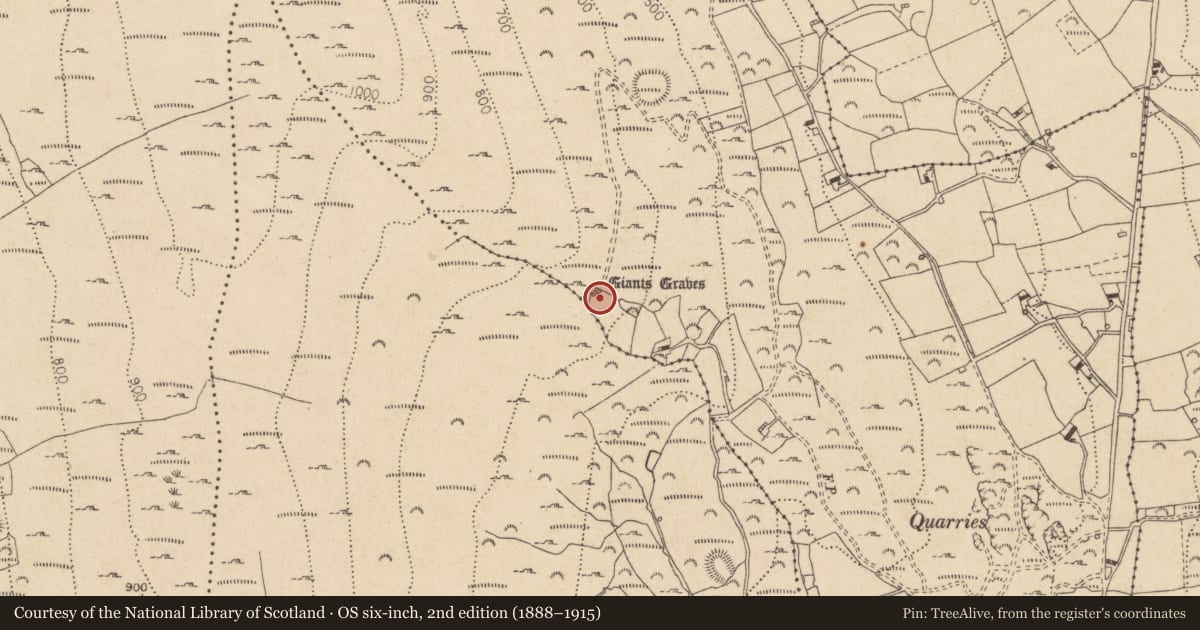 Ordnance Survey six-inch map, 2nd edition (1888–1915) covering the location of Megalithic tomb - court tomb, Commons (Carlingford Par.), County Louth, with a pin at the register's coordinates