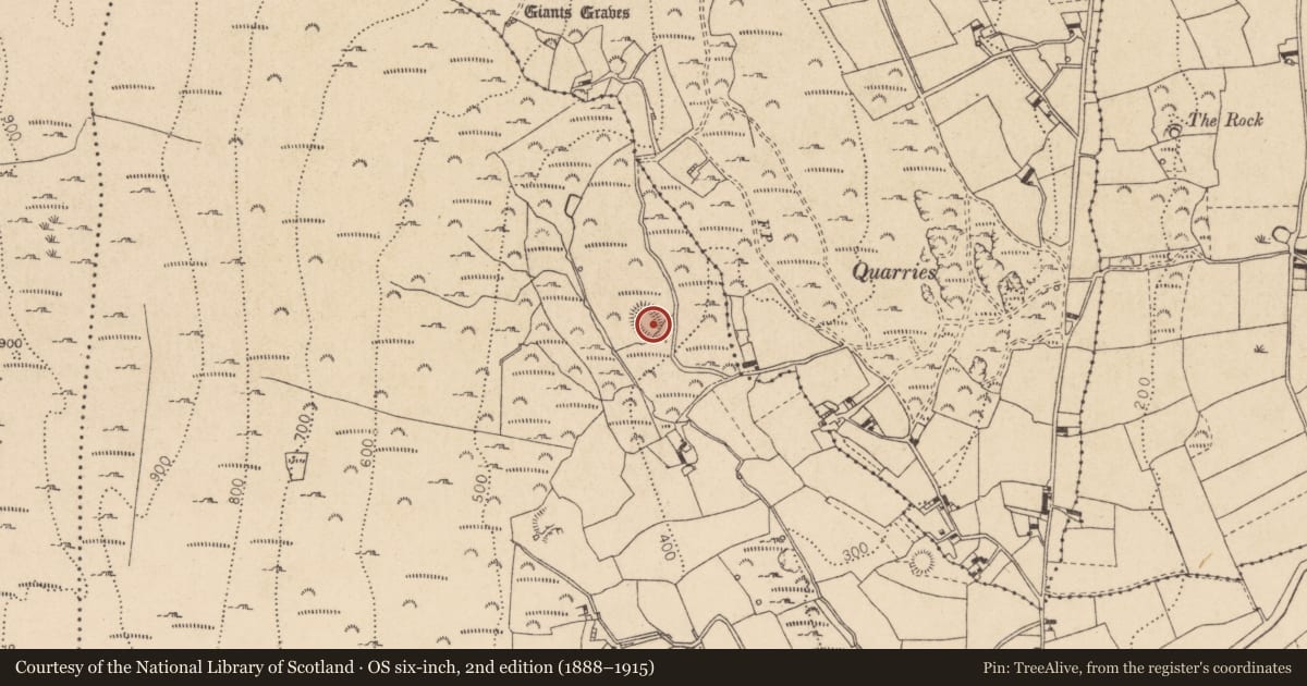 Ordnance Survey six-inch map, 2nd edition (1888–1915) covering the location of Ringfort - rath, Grange Irish, County Louth, with a pin at the register's coordinates