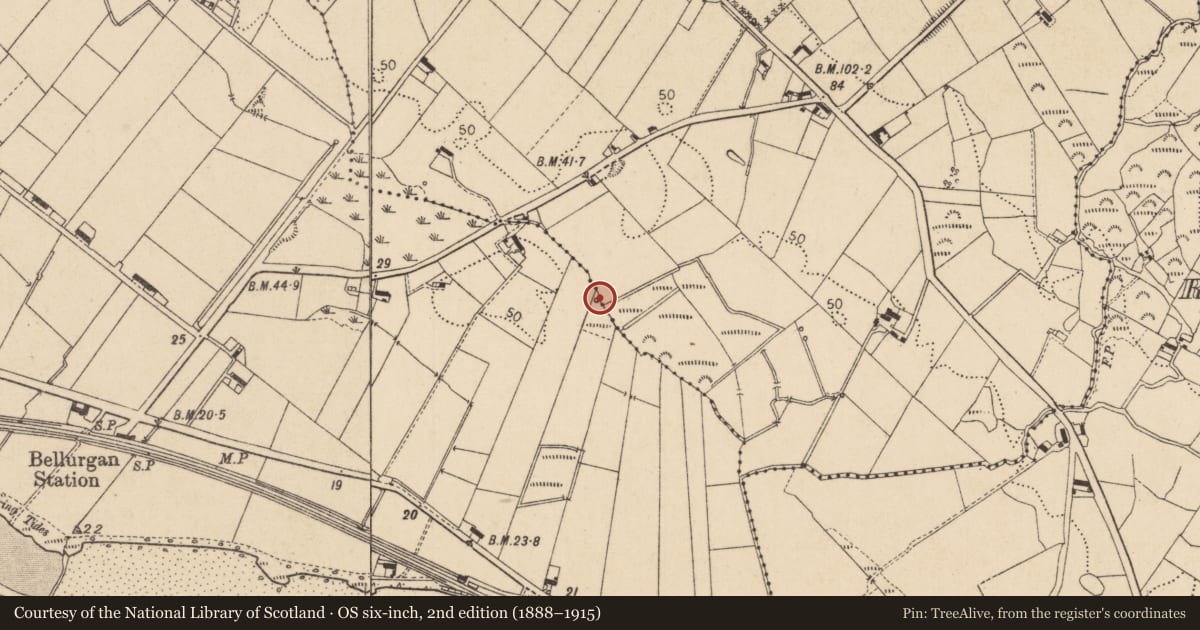 Ordnance Survey six-inch map, 2nd edition (1888–1915) covering the location of Ritual site - holy well, Bellurgan (Dundalk Lwr by, County Louth, with a pin at the register's coordinates