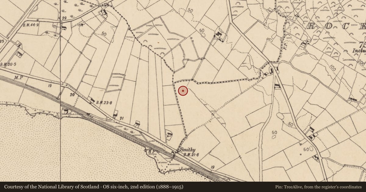 Ordnance Survey six-inch map, 2nd edition (1888–1915) covering the location of Midden, Rockmarshall, County Louth, with a pin at the register's coordinates