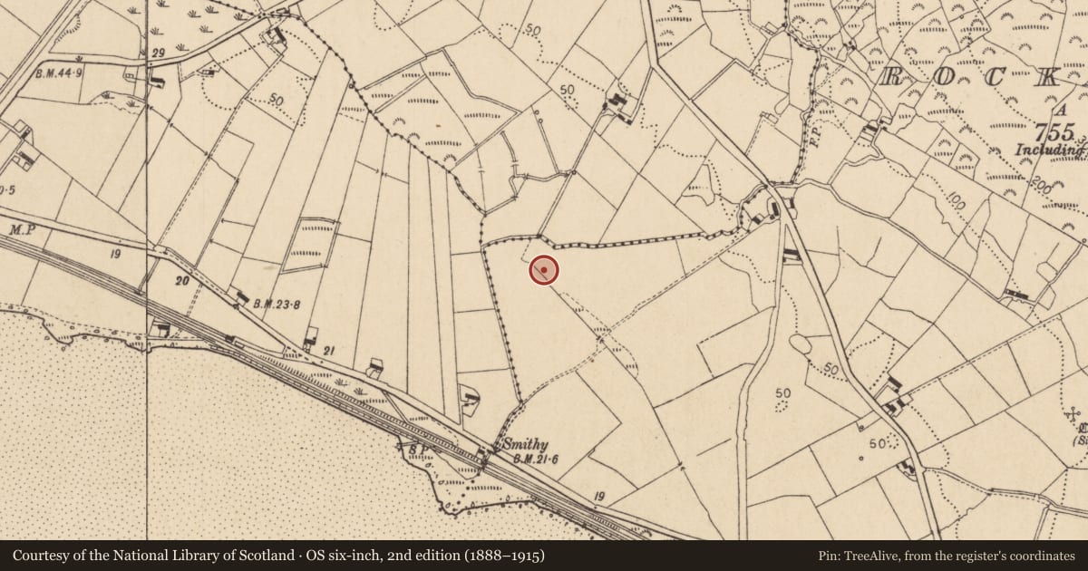 Ordnance Survey six-inch map, 2nd edition (1888–1915) covering the location of Midden, Rockmarshall, County Louth, with a pin at the register's coordinates