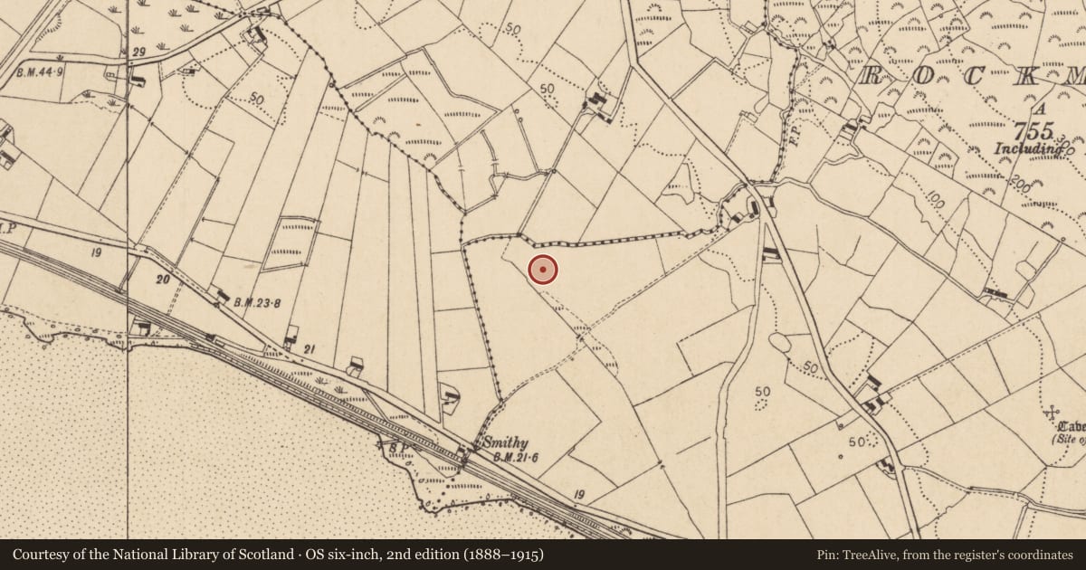 Ordnance Survey six-inch map, 2nd edition (1888–1915) covering the location of Midden, Rockmarshall, County Louth, with a pin at the register's coordinates