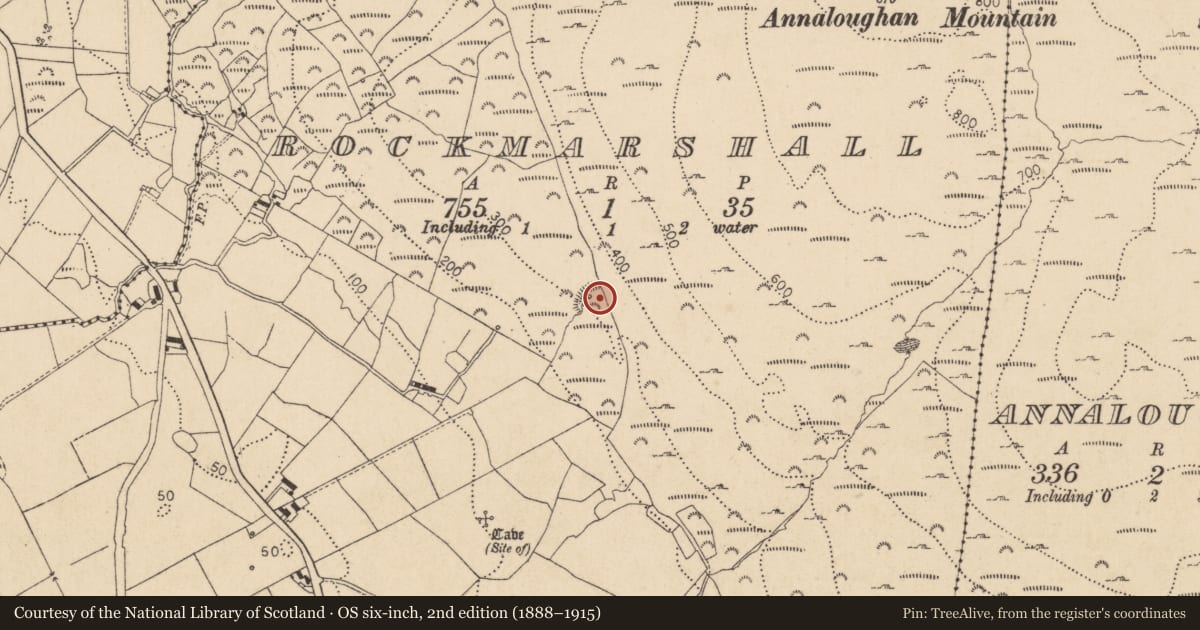Ordnance Survey six-inch map, 2nd edition (1888–1915) covering the location of Enclosure, Rockmarshall, County Louth, with a pin at the register's coordinates