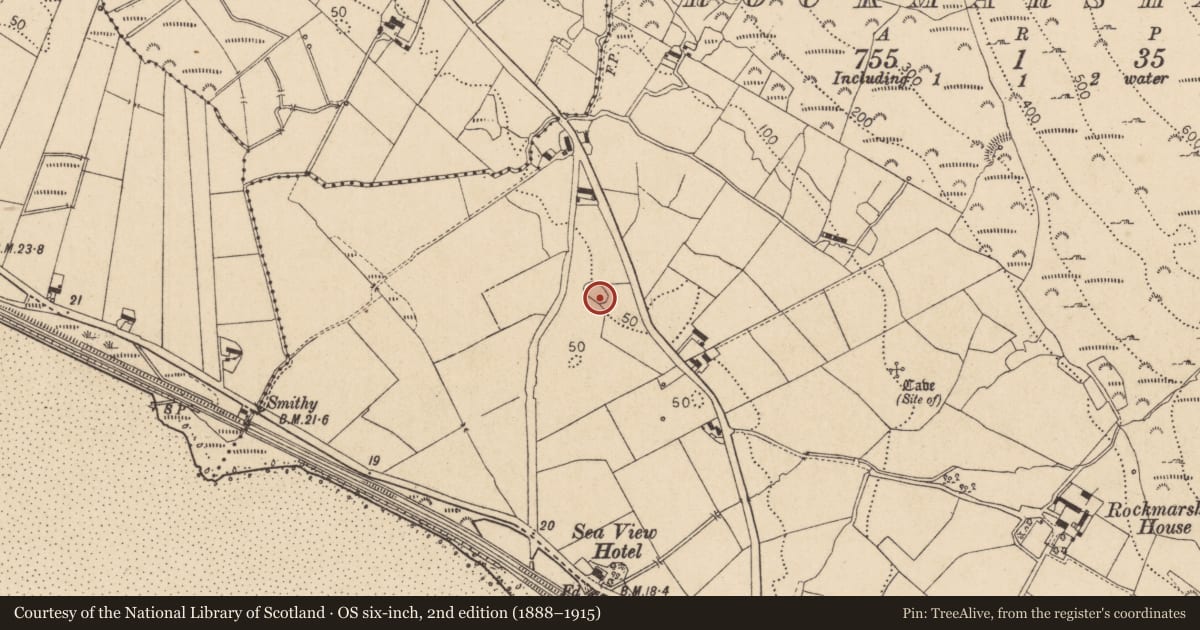 Ordnance Survey six-inch map, 2nd edition (1888–1915) covering the location of Souterrain, Rockmarshall, County Louth, with a pin at the register's coordinates