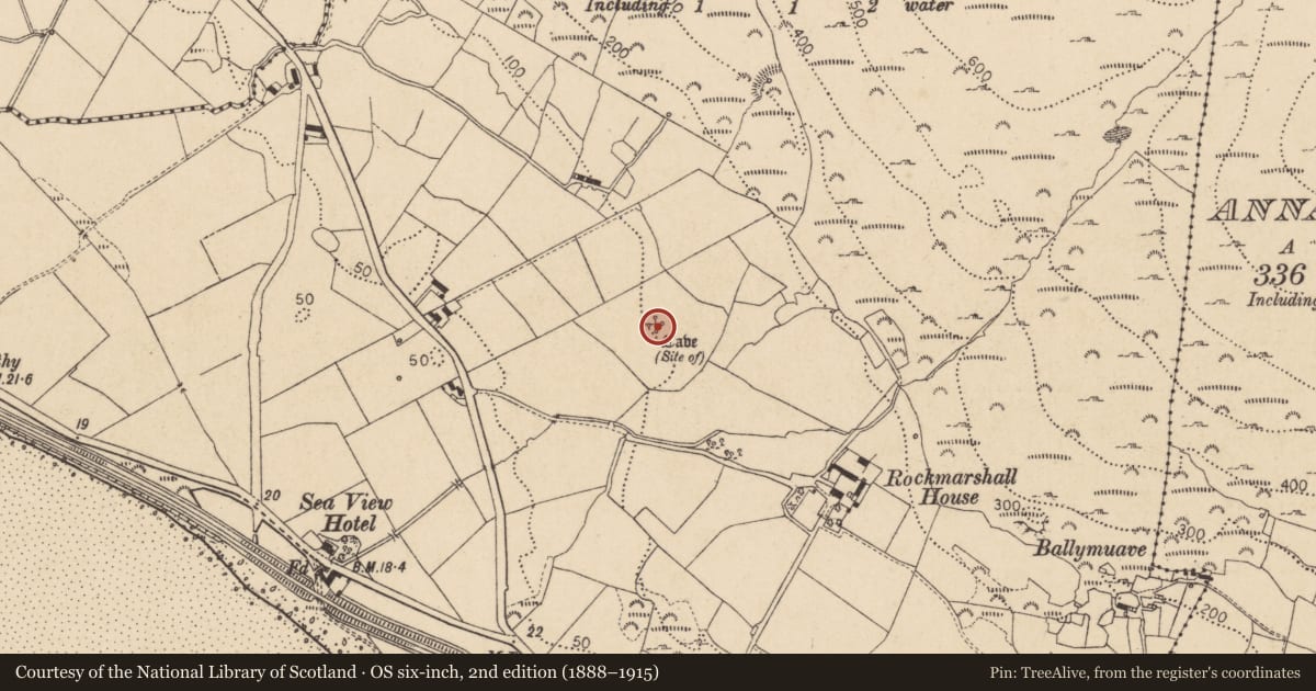 Ordnance Survey six-inch map, 2nd edition (1888–1915) covering the location of Souterrain, Rockmarshall, County Louth, with a pin at the register's coordinates