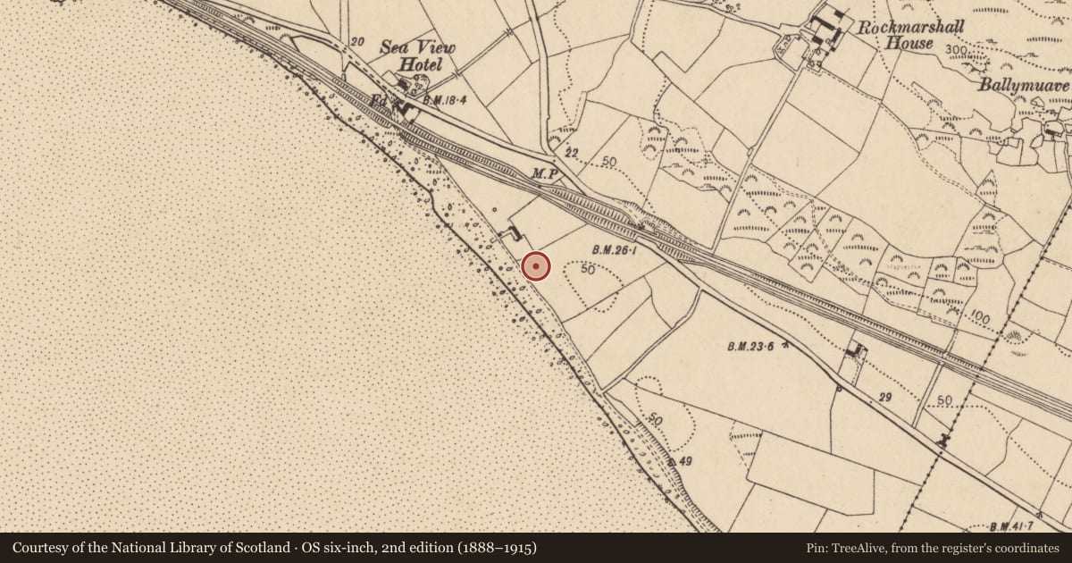 Ordnance Survey six-inch map, 2nd edition (1888–1915) covering the location of Midden, Rockmarshall, County Louth, with a pin at the register's coordinates