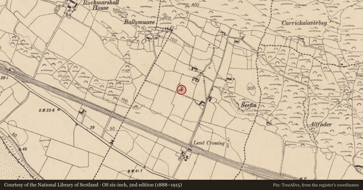 Ordnance Survey six-inch map, 2nd edition (1888–1915) covering the location of Ringfort - rath, Annaloughan, County Louth, with a pin at the register's coordinates