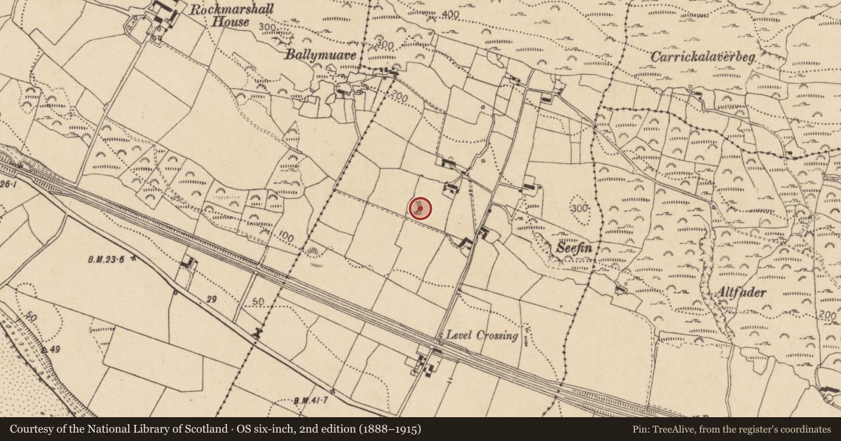 Ordnance Survey six-inch map, 2nd edition (1888–1915) covering the location of Souterrain, Annaloughan, County Louth, with a pin at the register's coordinates