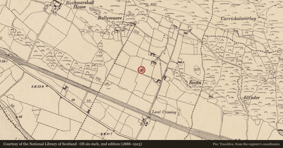 Ordnance Survey six-inch map, 2nd edition (1888–1915) covering the location of Hut site, Annaloughan, County Louth, with a pin at the register's coordinates