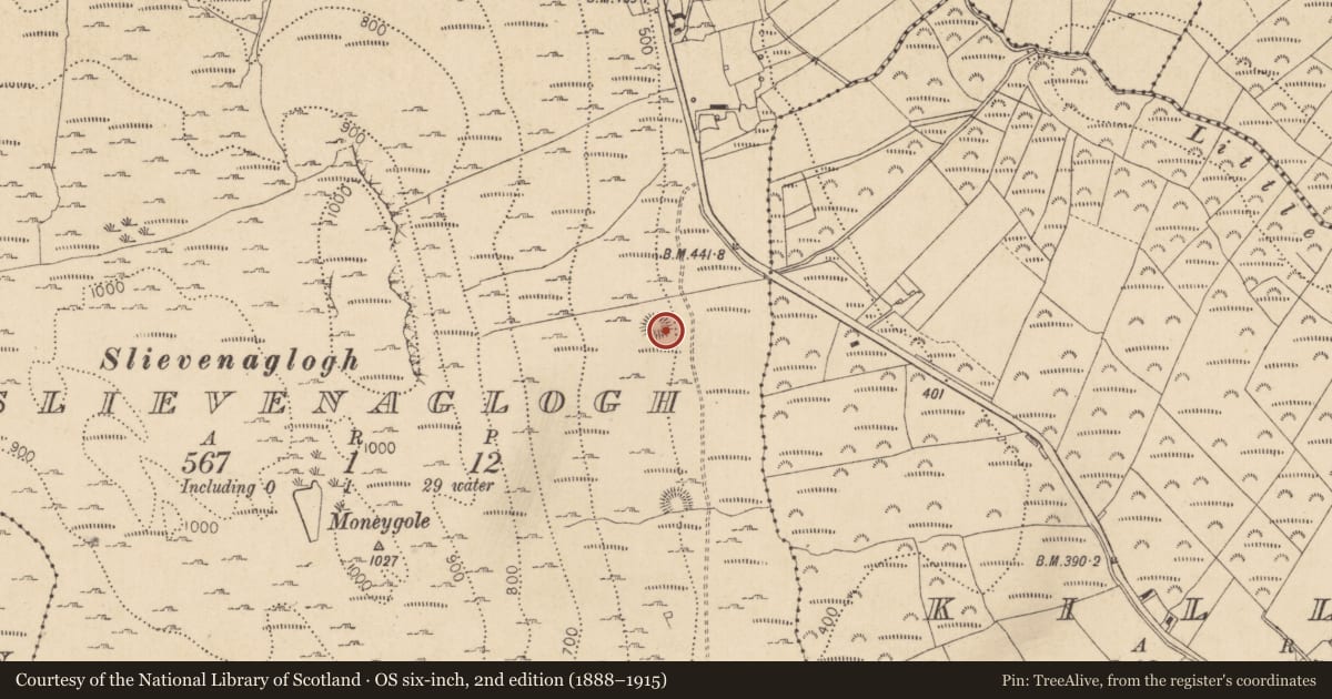 Ordnance Survey six-inch map, 2nd edition (1888–1915) covering the location of Ringfort - rath, Slievenaglogh, County Louth, with a pin at the register's coordinates