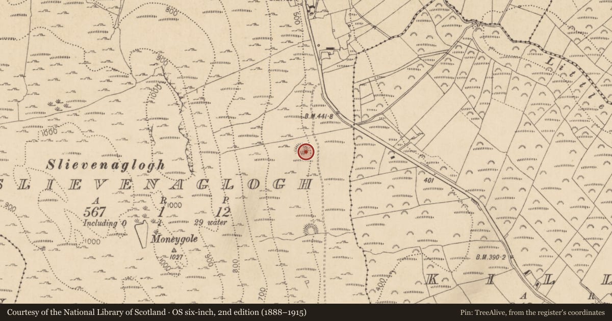 Ordnance Survey six-inch map, 2nd edition (1888–1915) covering the location of House - medieval, Slievenaglogh, County Louth, with a pin at the register's coordinates
