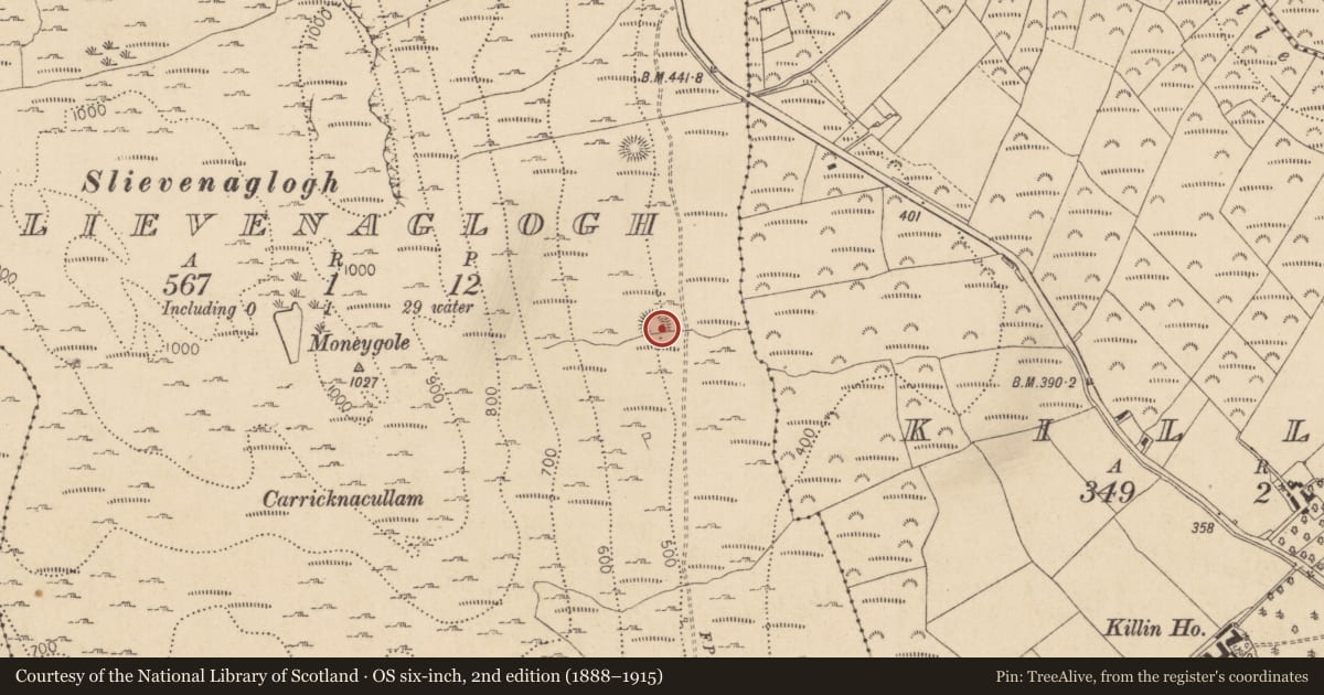 Ordnance Survey six-inch map, 2nd edition (1888–1915) covering the location of Souterrain, Slievenaglogh, County Louth, with a pin at the register's coordinates