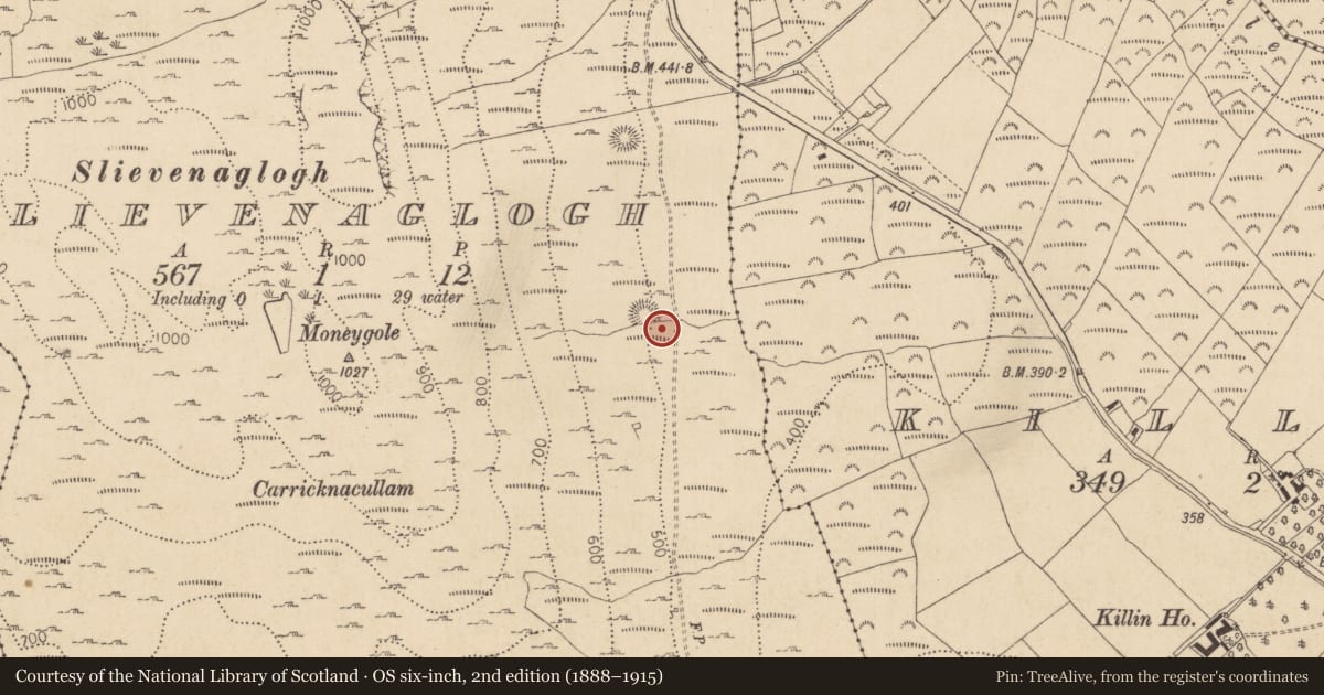 Ordnance Survey six-inch map, 2nd edition (1888–1915) covering the location of Hut site, Slievenaglogh, County Louth, with a pin at the register's coordinates