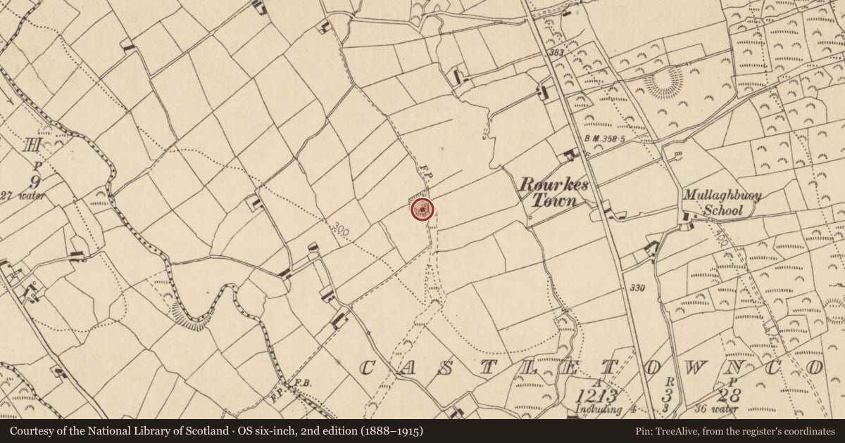 Ordnance Survey six-inch map, 2nd edition (1888–1915) covering the location of Cliff-edge fort, Castletowncooley, County Louth, with a pin at the register's coordinates