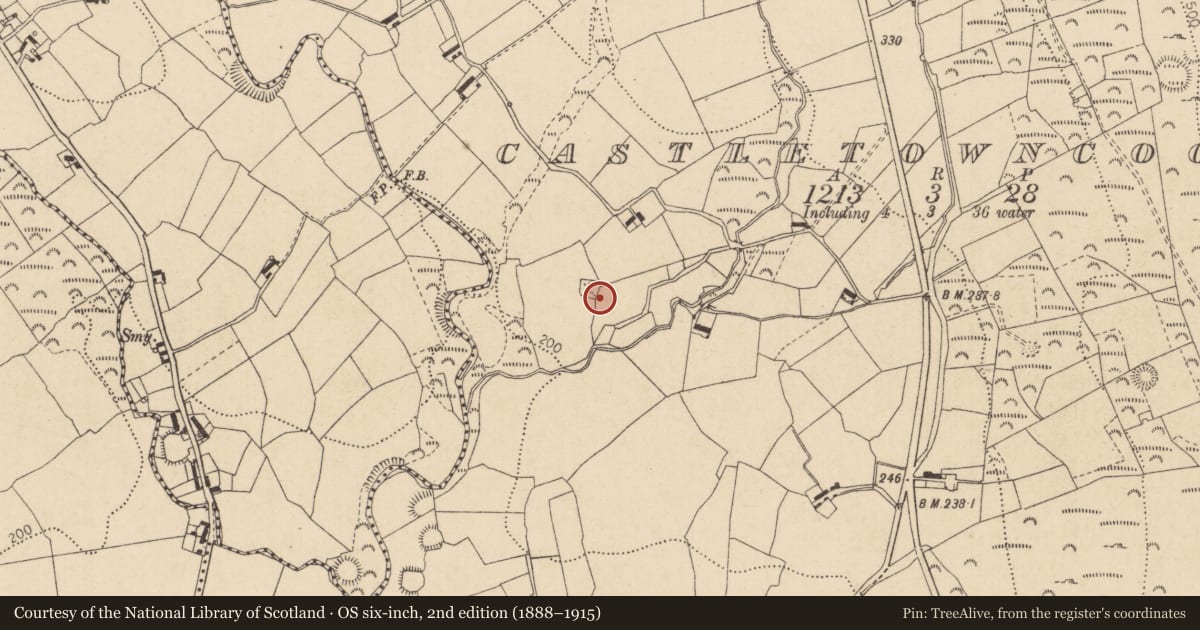 Ordnance Survey six-inch map, 2nd edition (1888–1915) covering the location of Hut site, Castletowncooley, County Louth, with a pin at the register's coordinates