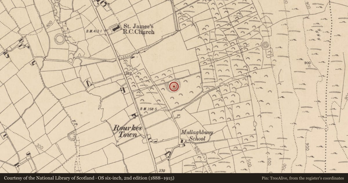 Ordnance Survey six-inch map, 2nd edition (1888–1915) covering the location of Ringfort - rath, Castletowncooley, County Louth, with a pin at the register's coordinates