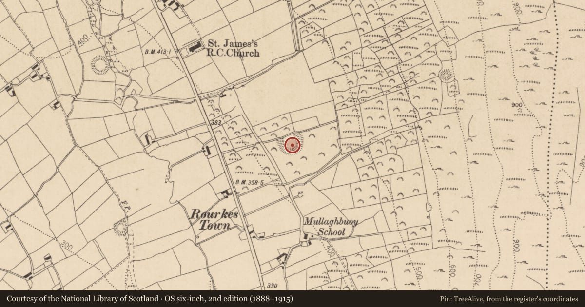 Ordnance Survey six-inch map, 2nd edition (1888–1915) covering the location of Hut site, Castletowncooley, County Louth, with a pin at the register's coordinates