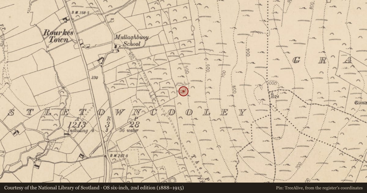 Ordnance Survey six-inch map, 2nd edition (1888–1915) covering the location of Enclosure, Castletowncooley, County Louth, with a pin at the register's coordinates