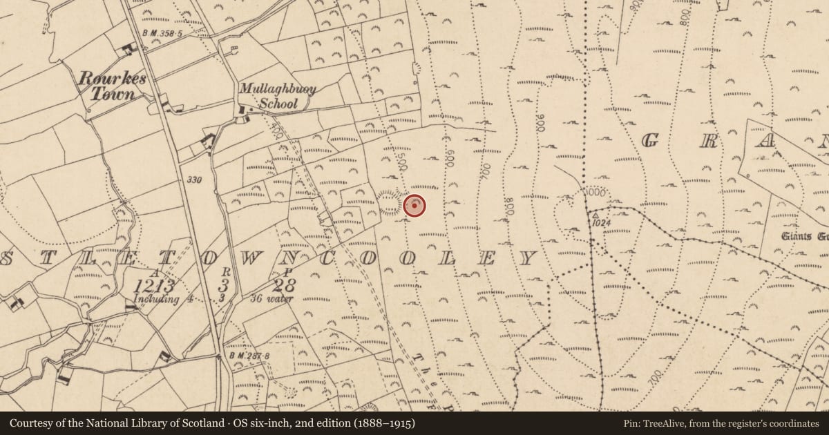 Ordnance Survey six-inch map, 2nd edition (1888–1915) covering the location of Enclosure, Castletowncooley, County Louth, with a pin at the register's coordinates