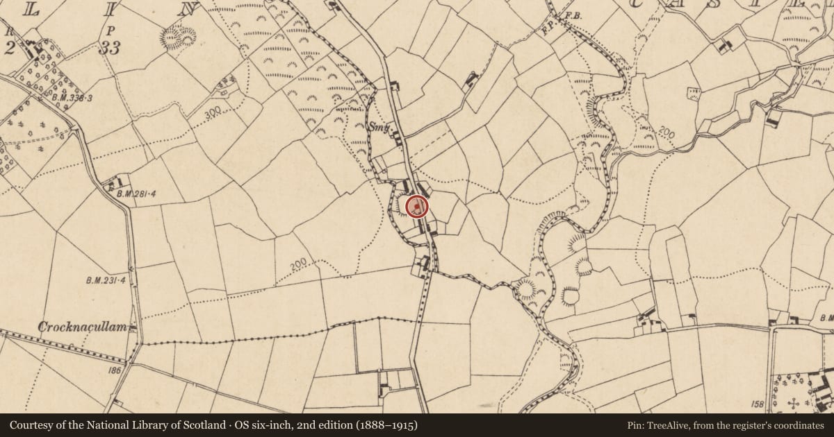 Ordnance Survey six-inch map, 2nd edition (1888–1915) covering the location of Enclosure, Benagh, County Louth, with a pin at the register's coordinates