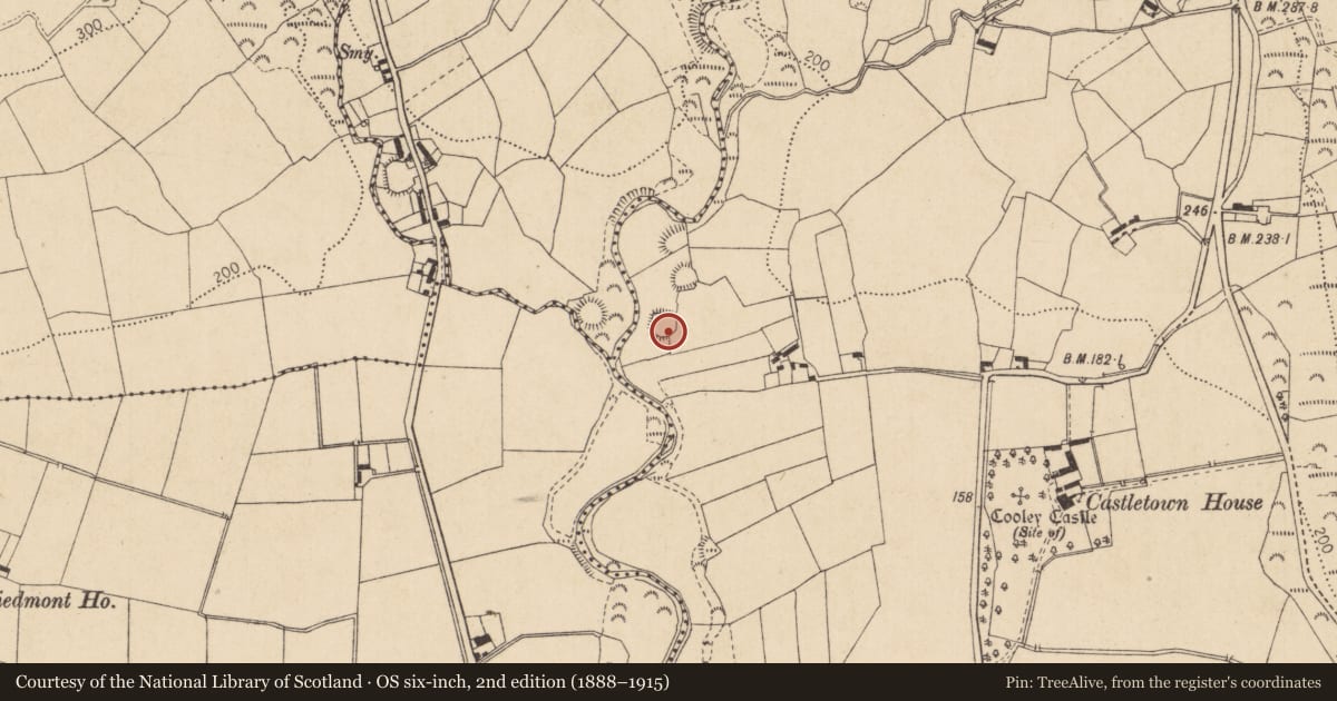 Ordnance Survey six-inch map, 2nd edition (1888–1915) covering the location of Ringfort - rath, Castletowncooley, County Louth, with a pin at the register's coordinates