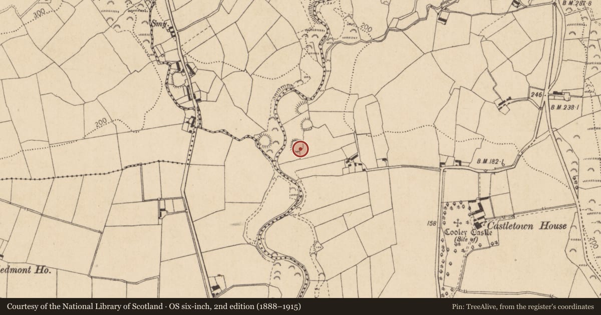 Ordnance Survey six-inch map, 2nd edition (1888–1915) covering the location of Hut site, Castletowncooley, County Louth, with a pin at the register's coordinates