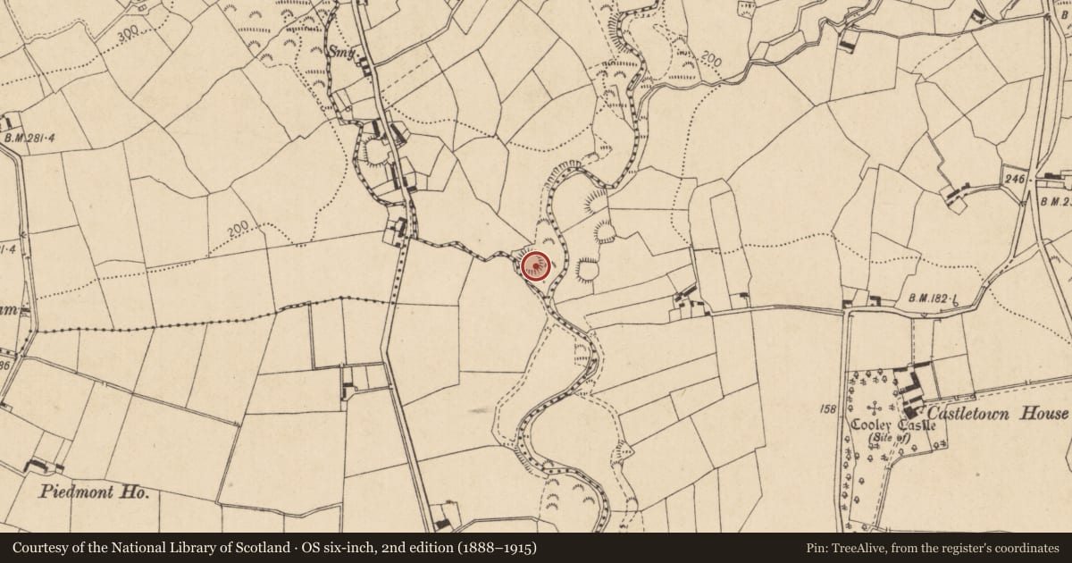 Ordnance Survey six-inch map, 2nd edition (1888–1915) covering the location of Hut site, Benagh, County Louth, with a pin at the register's coordinates