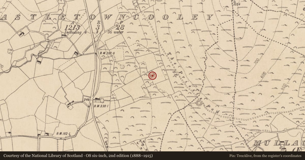 Ordnance Survey six-inch map, 2nd edition (1888–1915) covering the location of Ringfort - rath, Castletowncooley, County Louth, with a pin at the register's coordinates