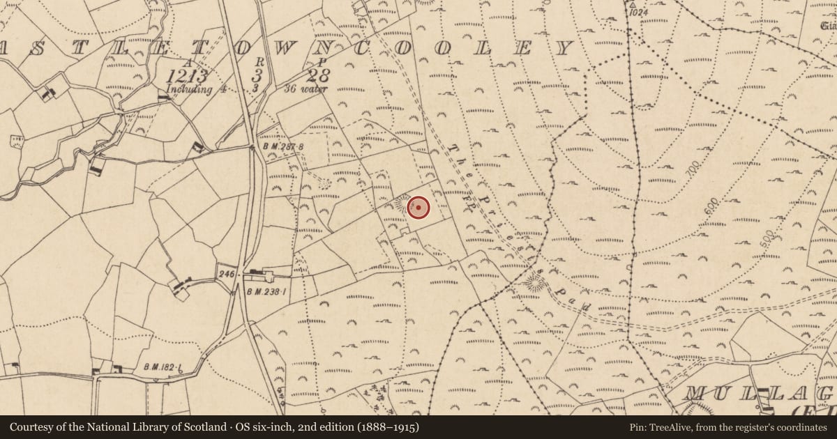 Ordnance Survey six-inch map, 2nd edition (1888–1915) covering the location of Enclosure, Castletowncooley, County Louth, with a pin at the register's coordinates