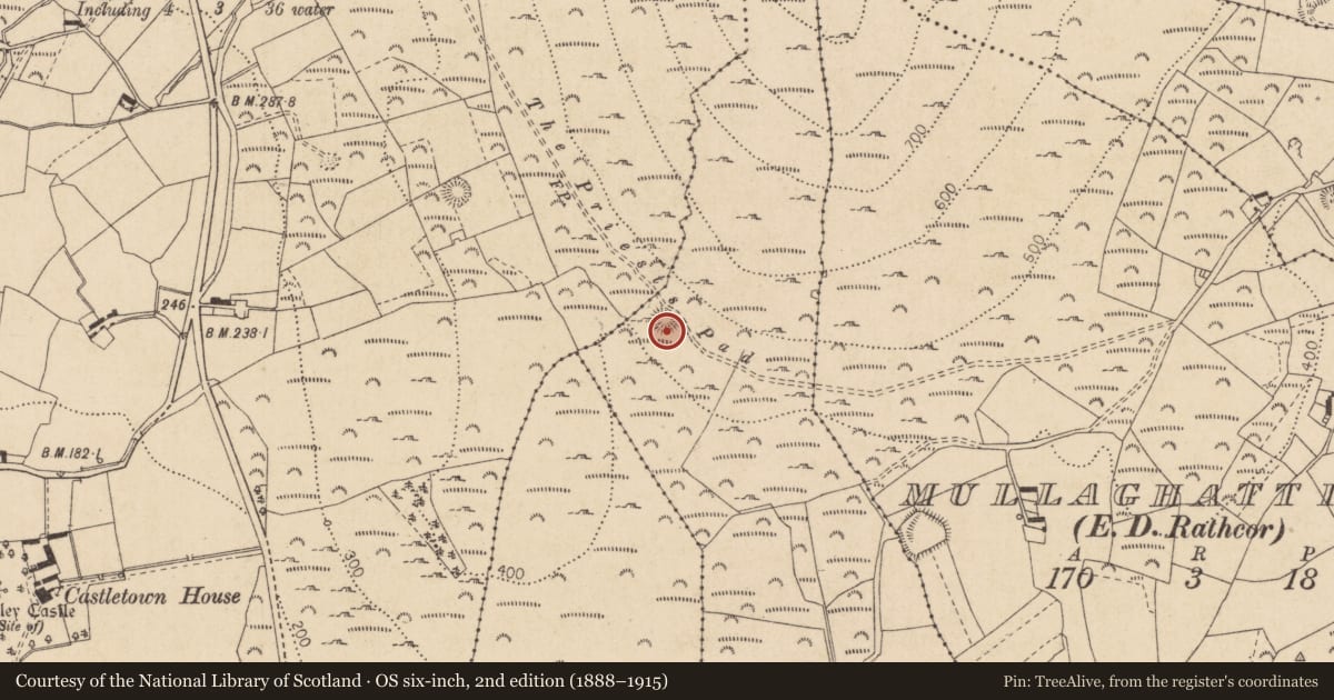 Ordnance Survey six-inch map, 2nd edition (1888–1915) covering the location of Ringfort - rath, Ballaverty, County Louth, with a pin at the register's coordinates