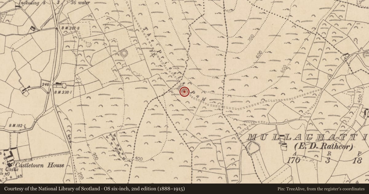 Ordnance Survey six-inch map, 2nd edition (1888–1915) covering the location of Field system, Ballaverty, County Louth, with a pin at the register's coordinates