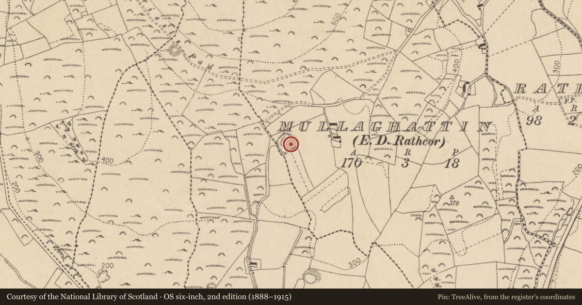 Ordnance Survey six-inch map, 2nd edition (1888–1915) covering the location of Enclosure, Mullaghattin (Dundalk Lwr by, County Louth, with a pin at the register's coordinates