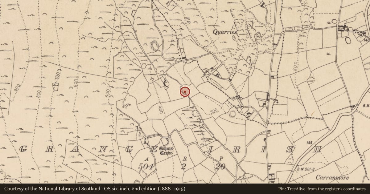 Ordnance Survey six-inch map, 2nd edition (1888–1915) covering the location of Souterrain, Grange Irish, County Louth, with a pin at the register's coordinates