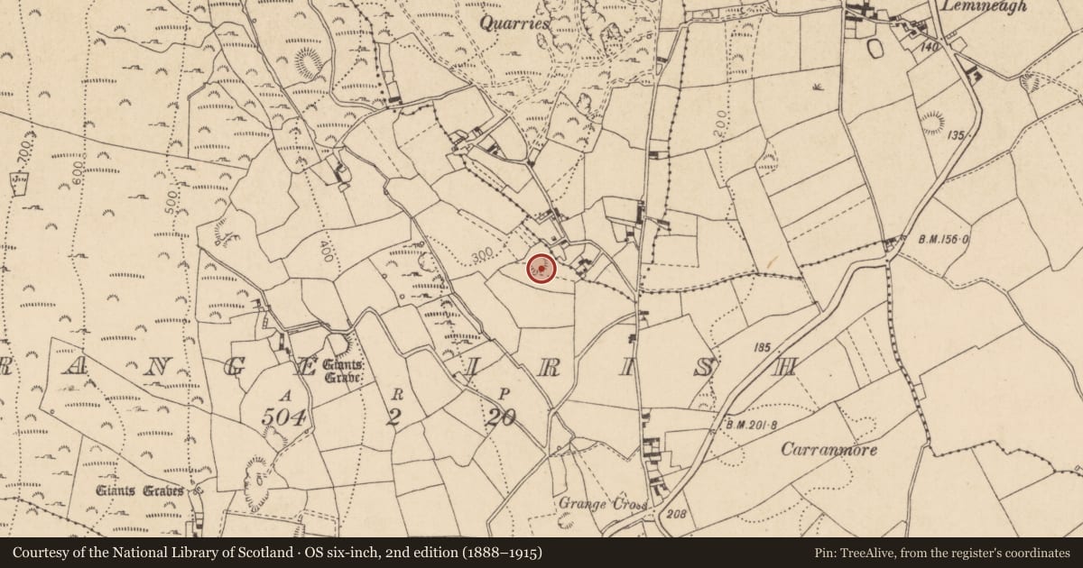 Ordnance Survey six-inch map, 2nd edition (1888–1915) covering the location of Ringfort - rath, Grange Irish, County Louth, with a pin at the register's coordinates
