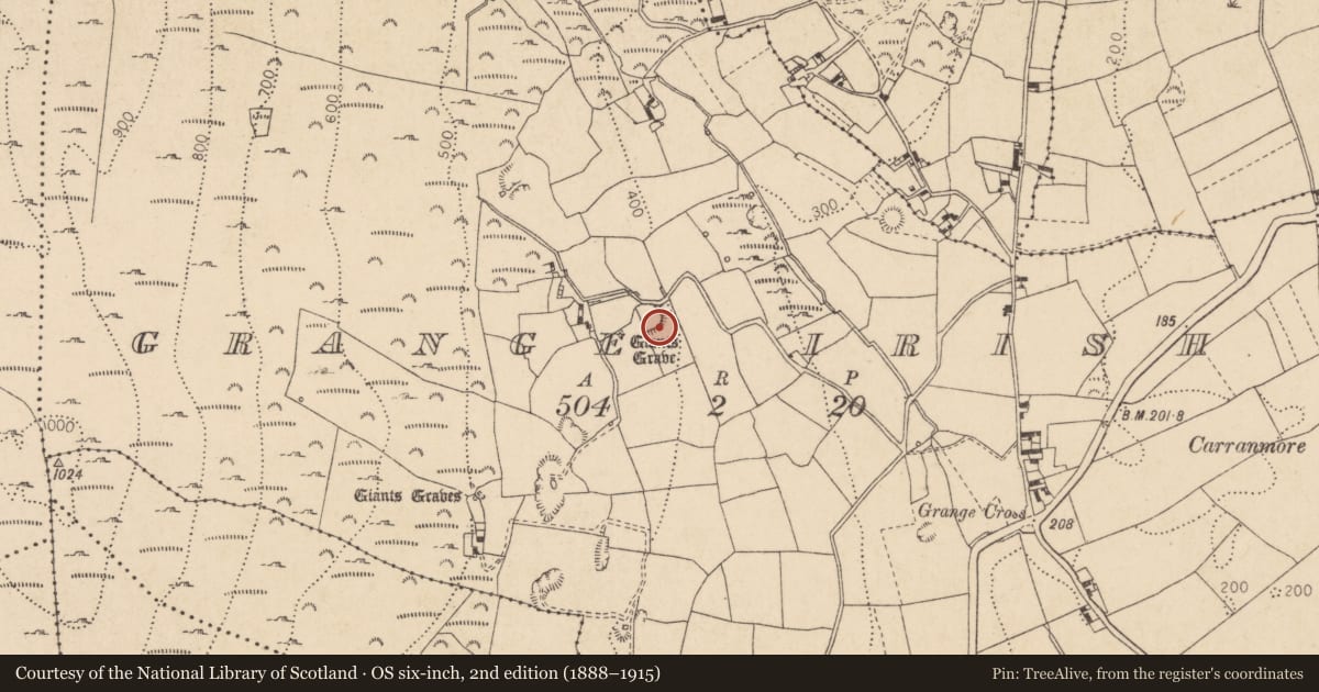 Ordnance Survey six-inch map, 2nd edition (1888–1915) covering the location of Megalithic tomb - unclassified, Grange Irish, County Louth, with a pin at the register's coordinates