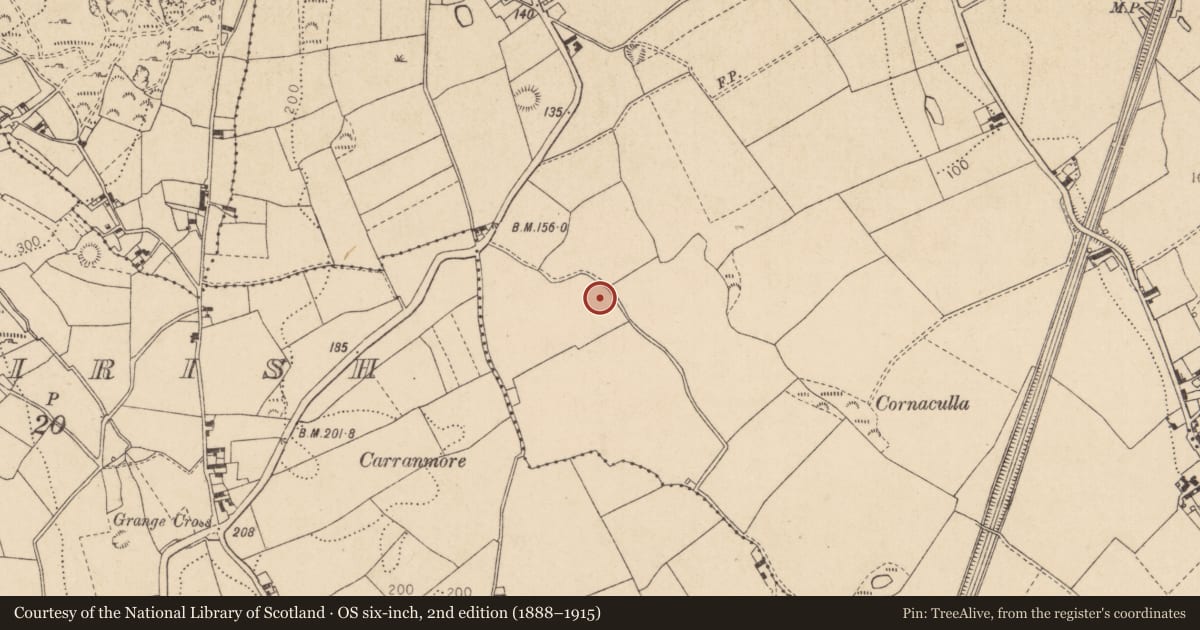 Ordnance Survey six-inch map, 2nd edition (1888–1915) covering the location of Mound, Liberties of Carlingford, County Louth, with a pin at the register's coordinates