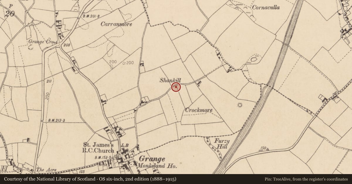 Ordnance Survey six-inch map, 2nd edition (1888–1915) covering the location of Bullaun stone, Grange Irish, County Louth, with a pin at the register's coordinates