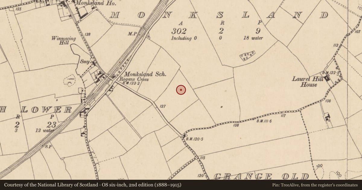 Ordnance Survey six-inch map, 2nd edition (1888–1915) covering the location of Slab-lined burial, Monksland, County Louth, with a pin at the register's coordinates