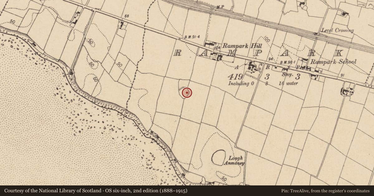 Ordnance Survey six-inch map, 2nd edition (1888–1915) covering the location of Souterrain, Rampark, County Louth, with a pin at the register's coordinates