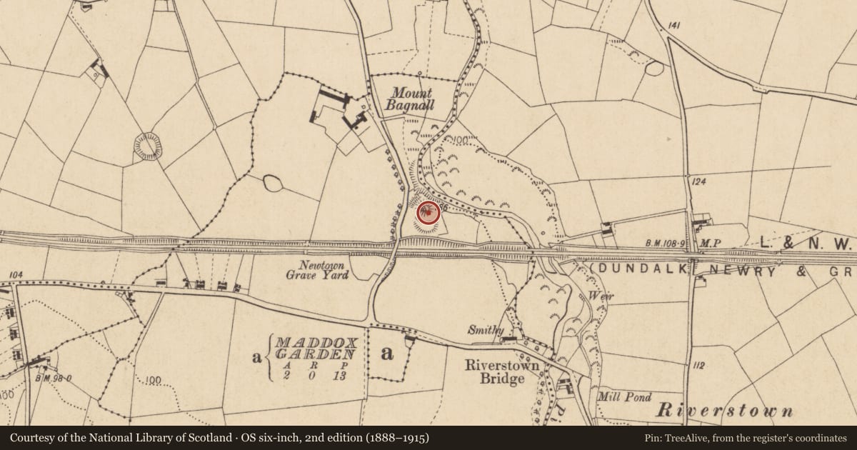 Ordnance Survey six-inch map, 2nd edition (1888–1915) covering the location of Castle - motte and bailey, Mountbagnall, County Louth, with a pin at the register's coordinates