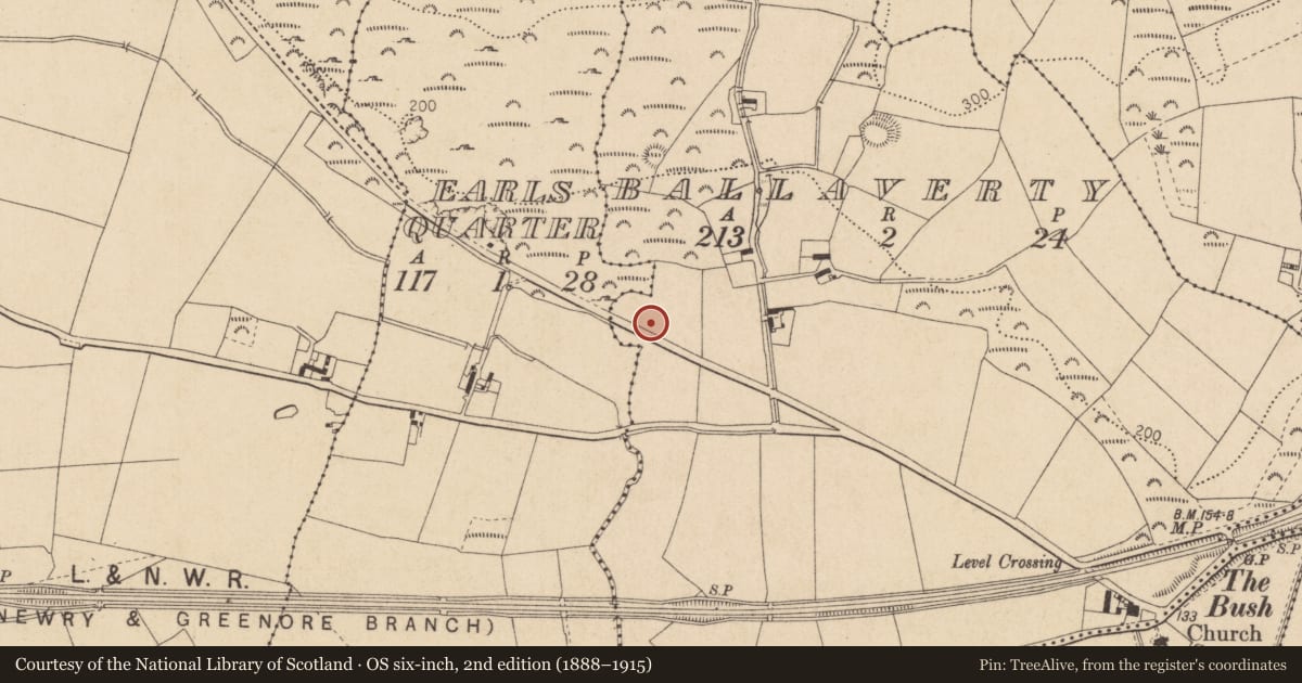 Ordnance Survey six-inch map, 2nd edition (1888–1915) covering the location of Ringfort - rath, Ballaverty, County Louth, with a pin at the register's coordinates