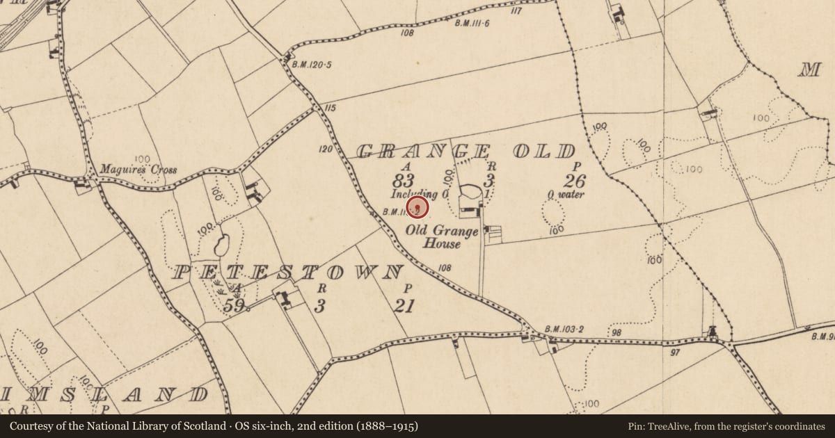 Ordnance Survey six-inch map, 2nd edition (1888–1915) covering the location of Enclosure, Grange Old, County Louth, with a pin at the register's coordinates