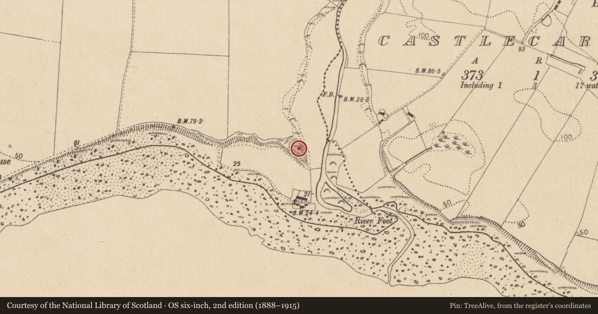 Ordnance Survey six-inch map, 2nd edition (1888–1915) covering the location of Promontory fort - coastal, Mountbagnall, County Louth, with a pin at the register's coordinates