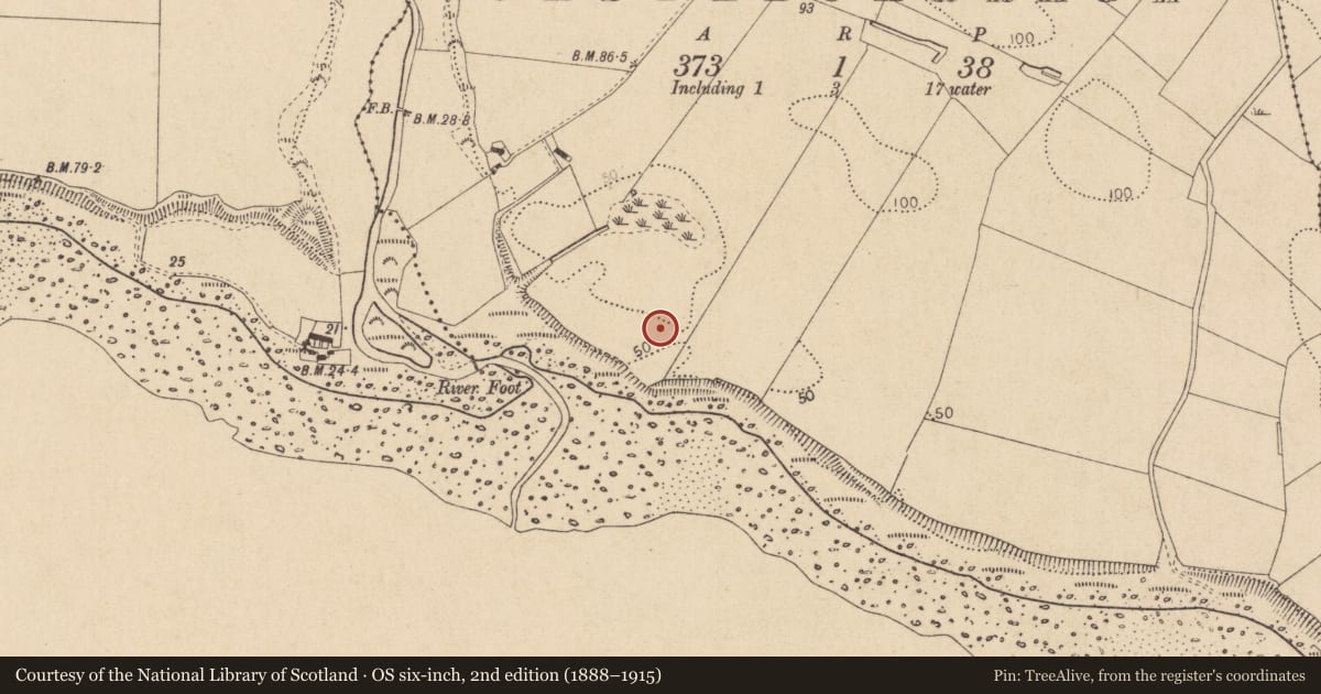 Ordnance Survey six-inch map, 2nd edition (1888–1915) covering the location of Burial ground, Castlecarragh, County Louth, with a pin at the register's coordinates