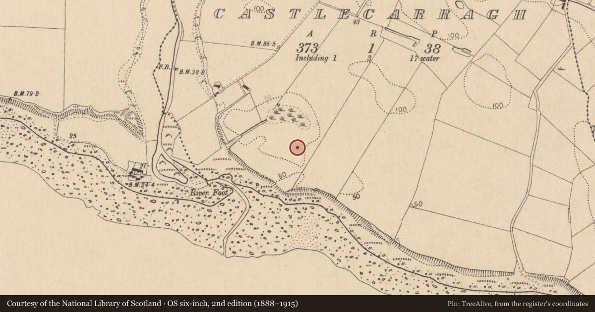 Ordnance Survey six-inch map, 2nd edition (1888–1915) covering the location of Souterrain, Castlecarragh, County Louth, with a pin at the register's coordinates