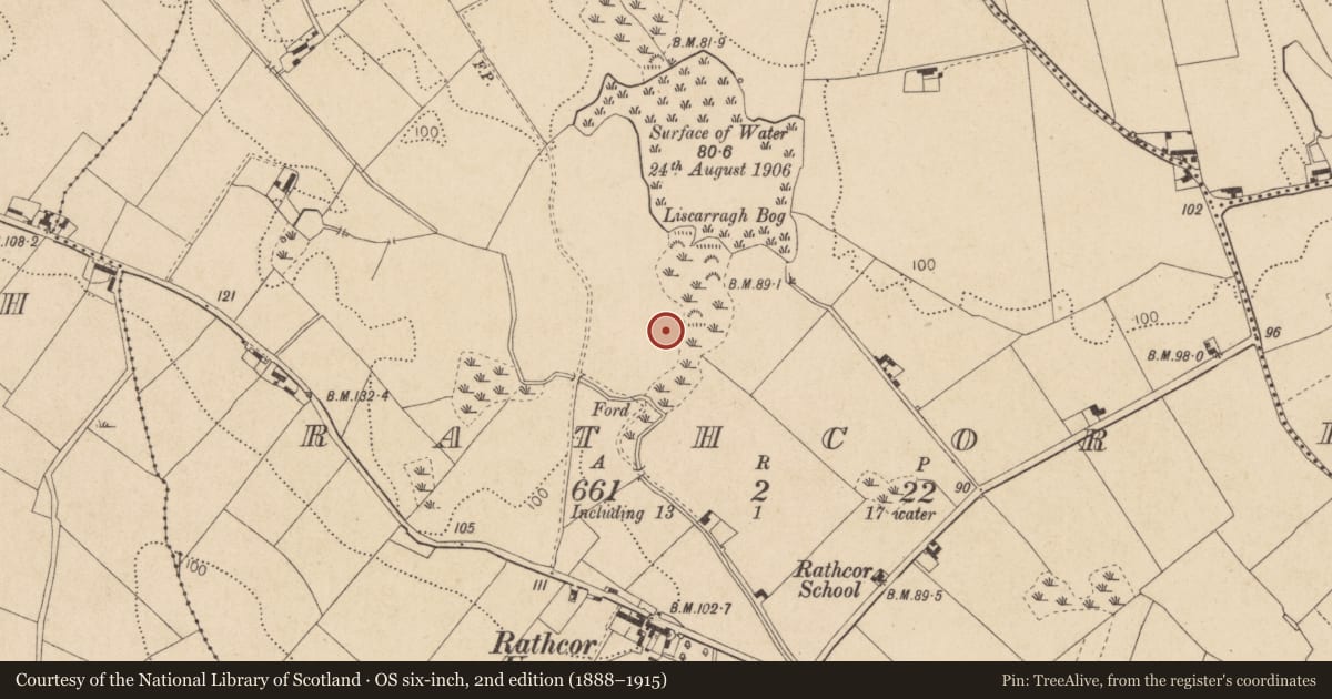 Ordnance Survey six-inch map, 2nd edition (1888–1915) covering the location of Enclosure, Rathcor, County Louth, with a pin at the register's coordinates