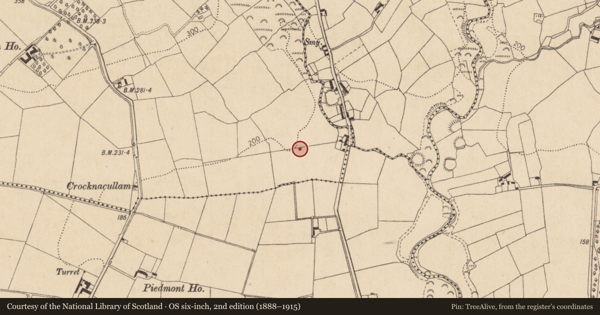Ordnance Survey six-inch map, 2nd edition (1888–1915) covering the location of Souterrain, Killin, County Louth, with a pin at the register's coordinates