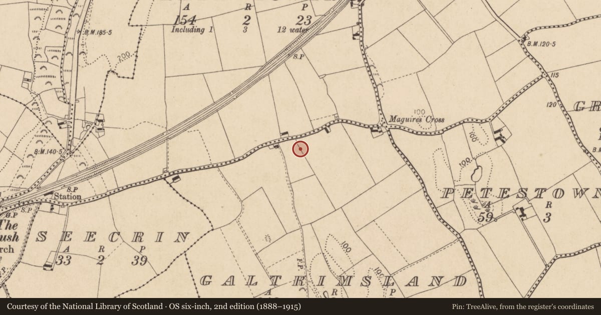 Ordnance Survey six-inch map, 2nd edition (1888–1915) covering the location of Souterrain, Galtrimsland, County Louth, with a pin at the register's coordinates