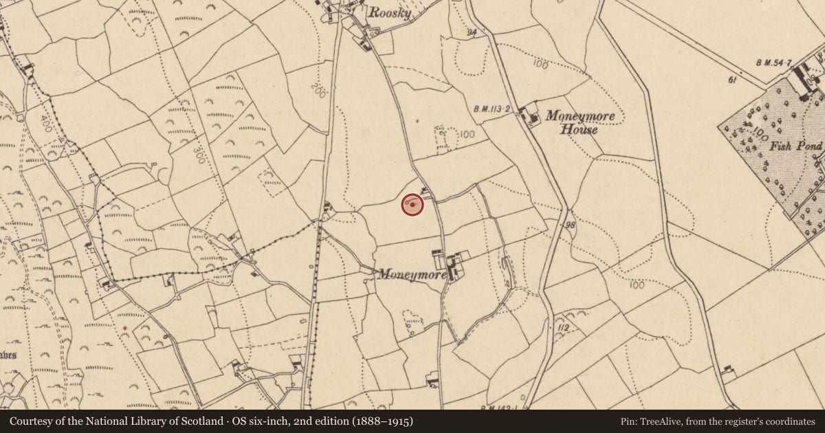 Ordnance Survey six-inch map, 2nd edition (1888–1915) covering the location of Ritual site - holy well, Liberties of Carlingford, County Louth, with a pin at the register's coordinates